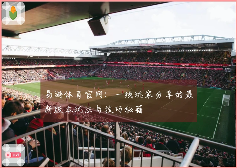 易游体育官网：一线玩家分享的最新版本玩法与技巧秘籍
